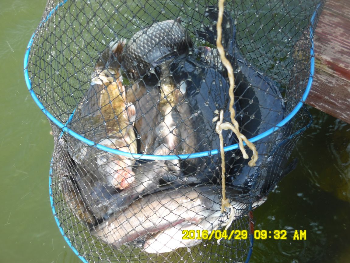 4��29�� 006.JPG