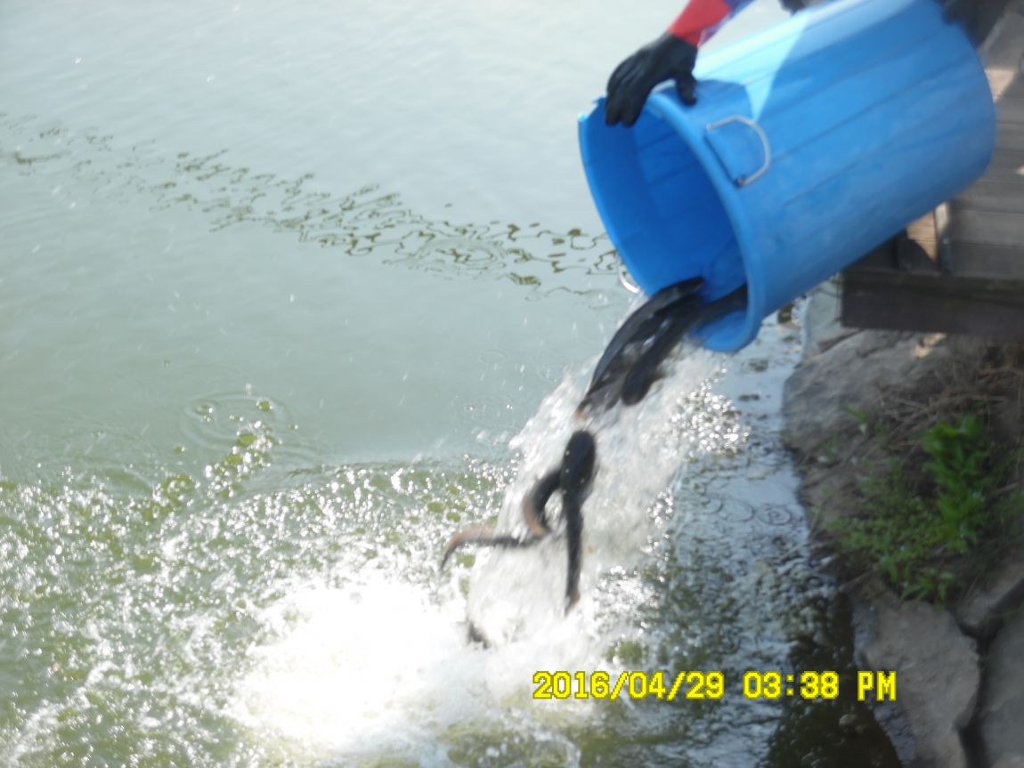 4��29�� 007.JPG