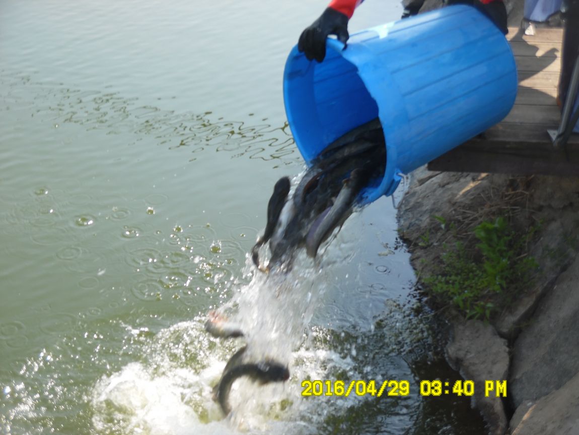 4��29�� 008.JPG