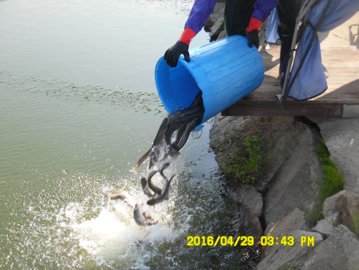 4��29�� 009.JPG