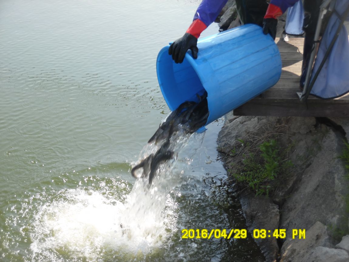 4��29�� 010.JPG