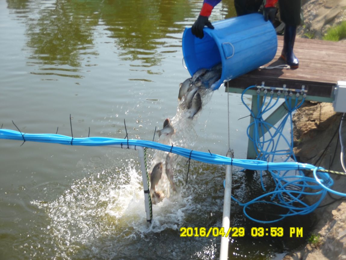 4��29�� 013.JPG