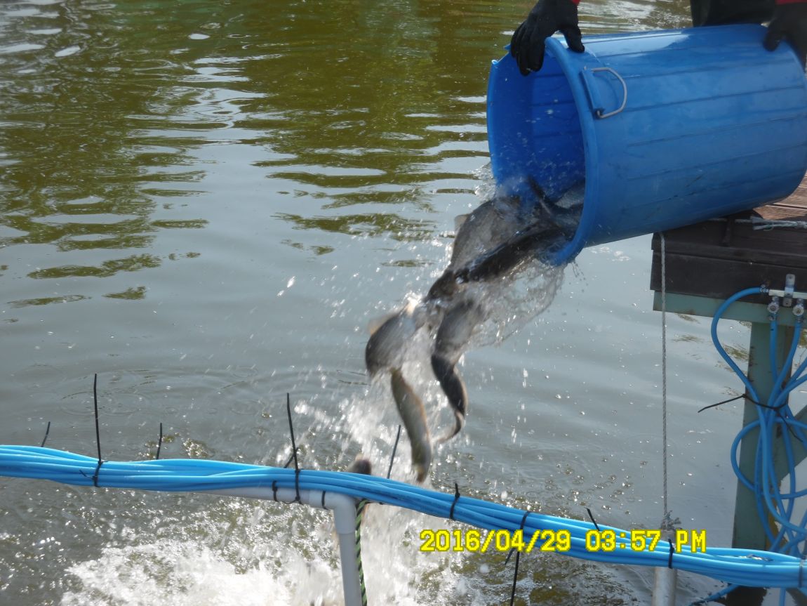 4��29�� 014.JPG