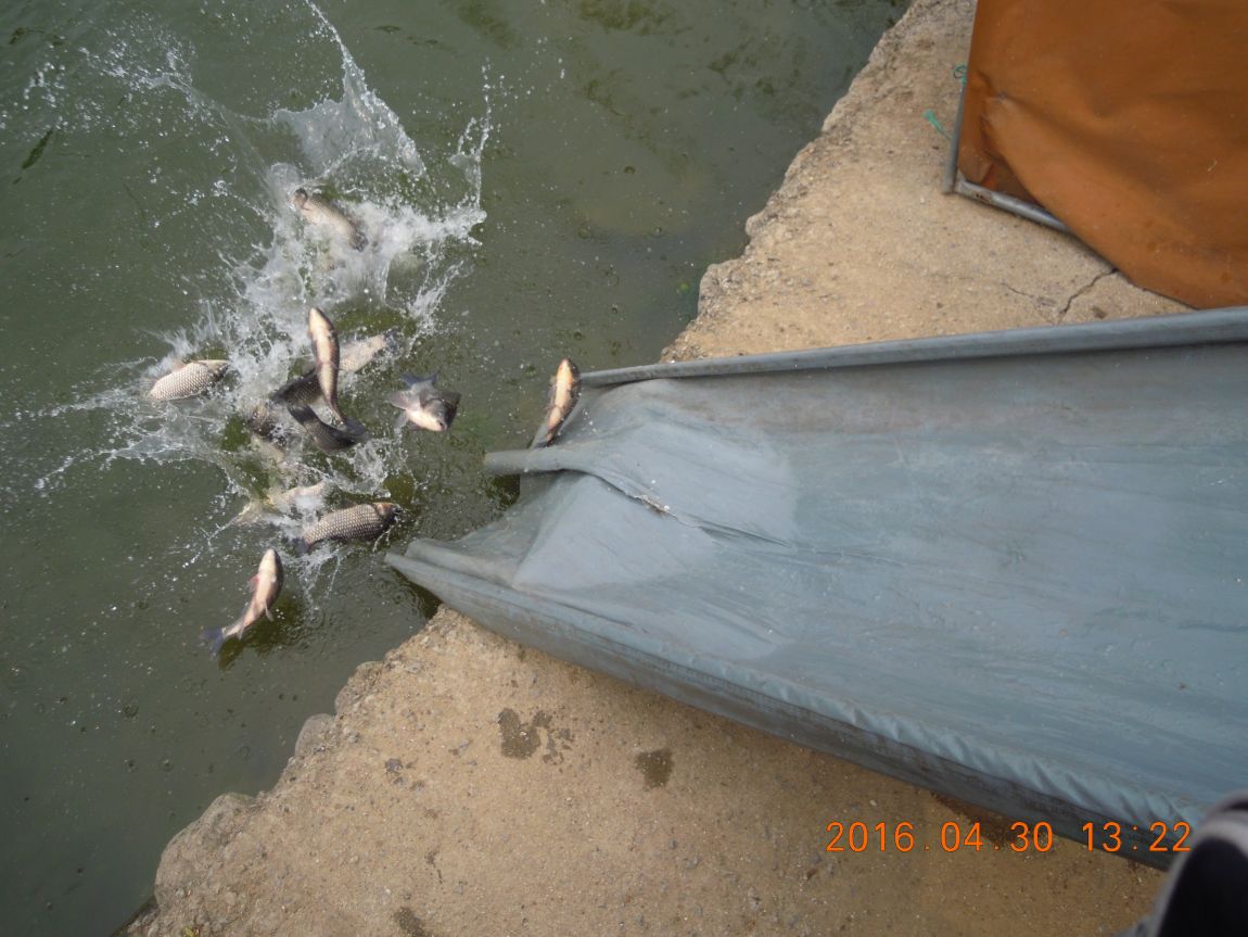 DSCN0795.JPG