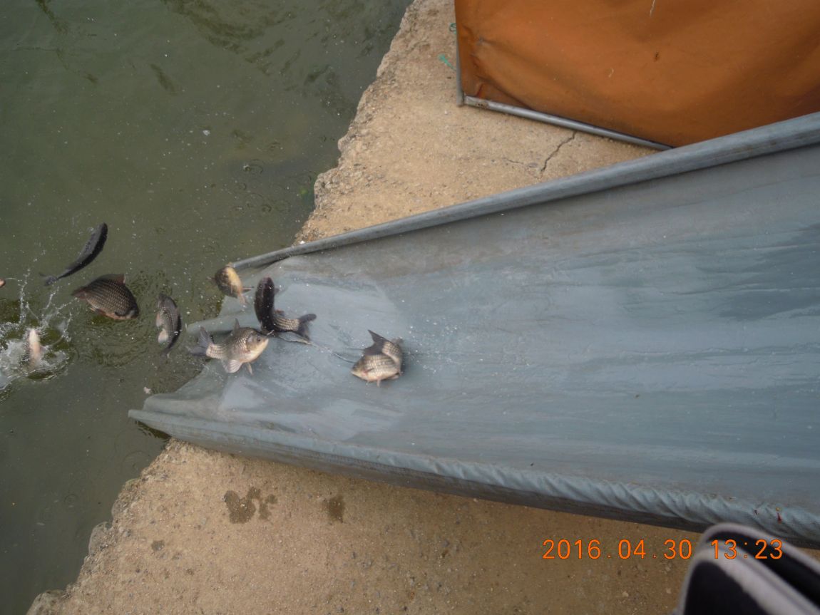 DSCN0797.JPG