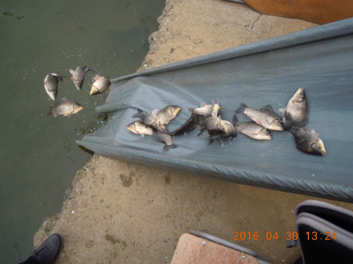 DSCN0804.JPG