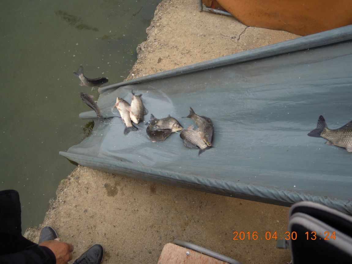 DSCN0805.JPG