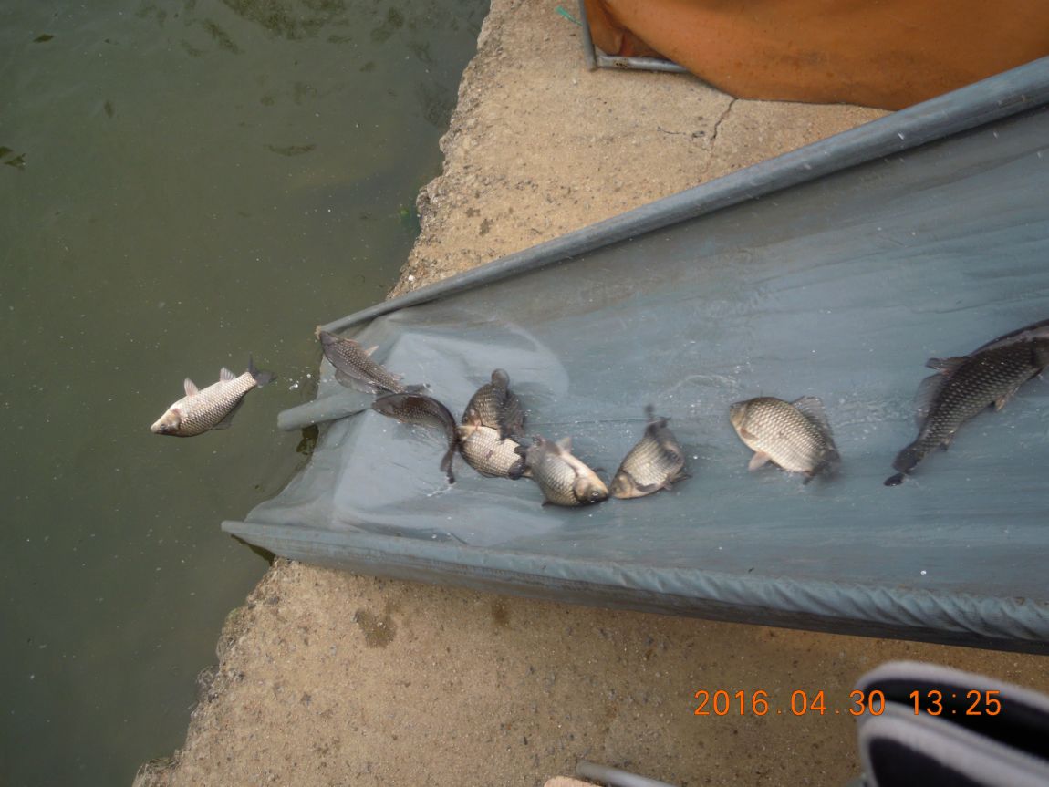 DSCN0806.JPG