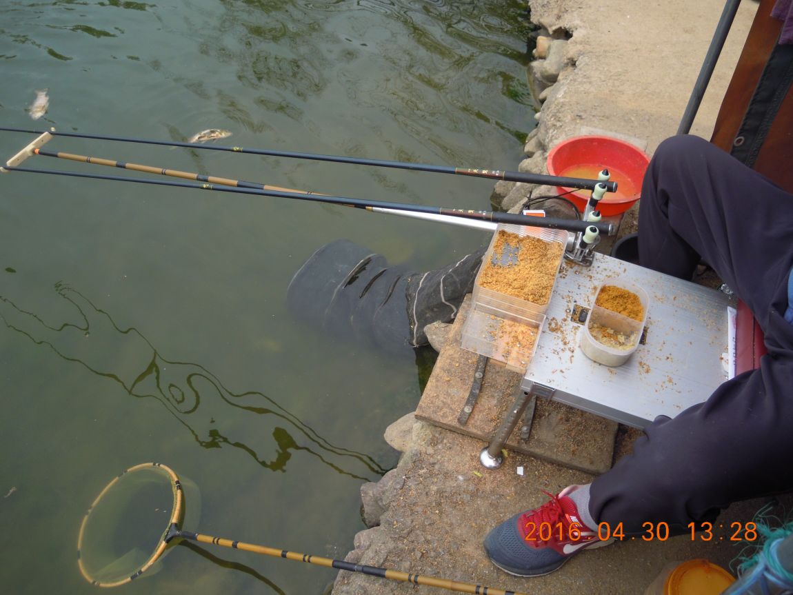 DSCN0808.JPG