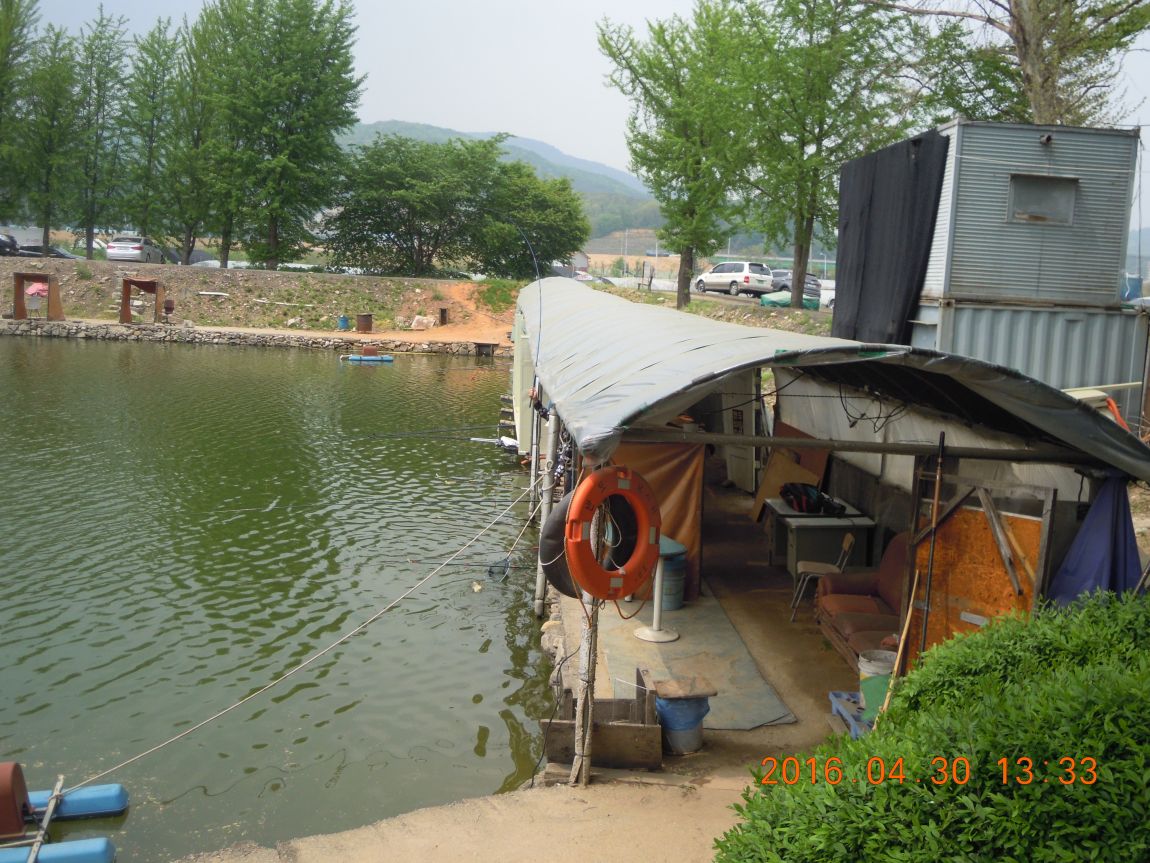 DSCN0811.JPG