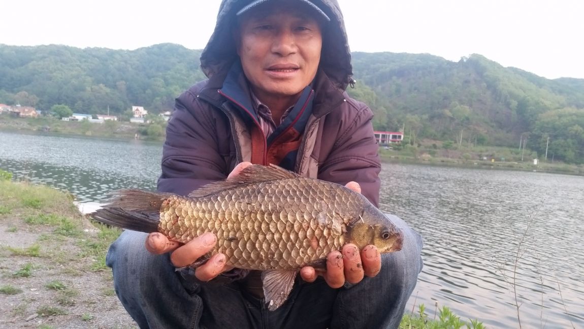 20160429_190917.jpg