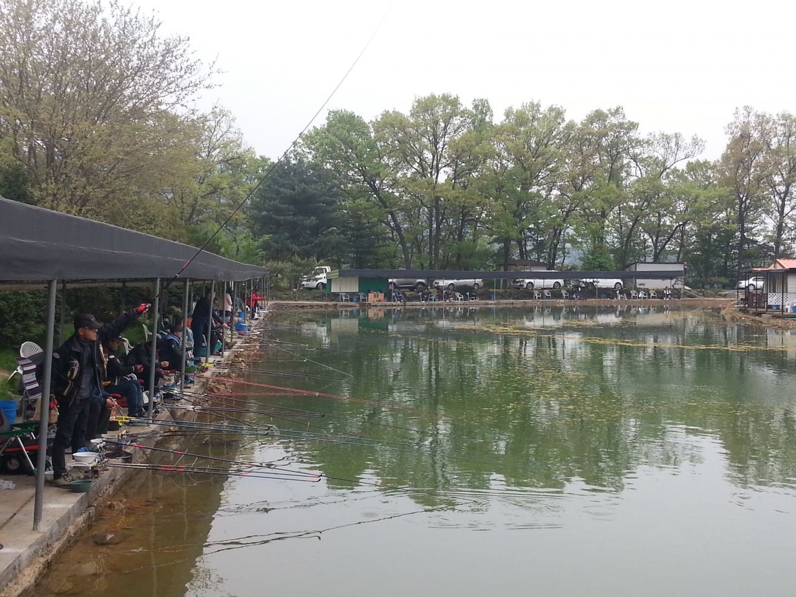 20160430_163403.jpg