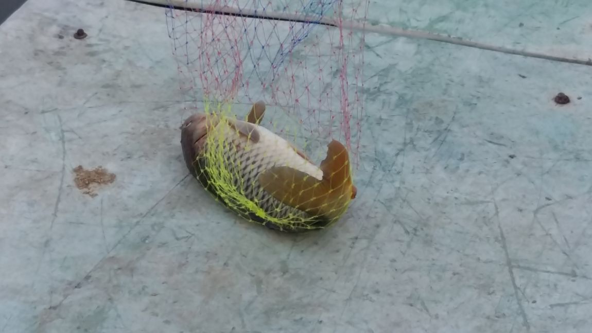 20160430_184542.jpg