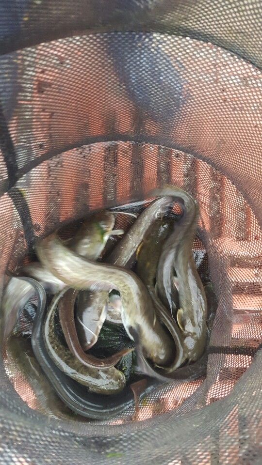KakaoTalk_20160501_194541642.jpg