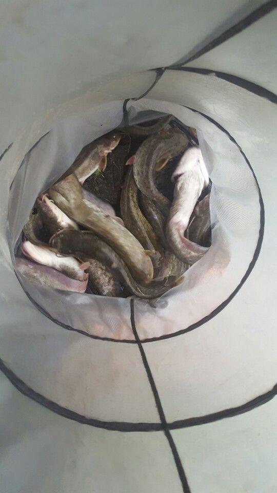 KakaoTalk_20160501_194541906.jpg