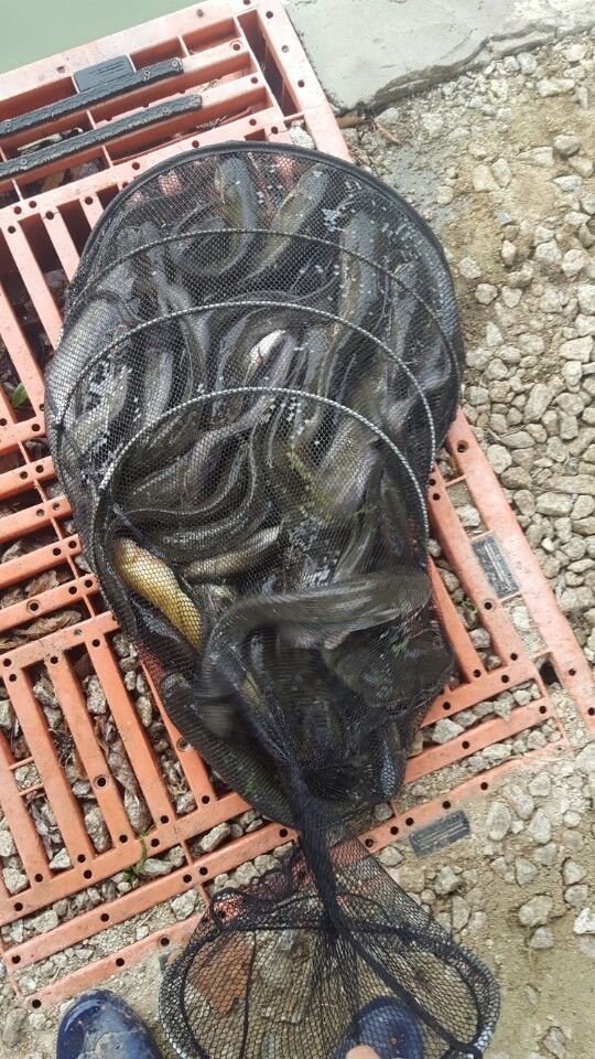 KakaoTalk_20160501_194542791.jpg