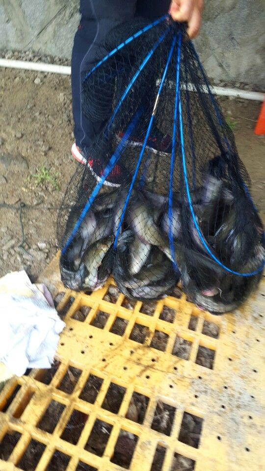 KakaoTalk_20160501_194543888.jpg