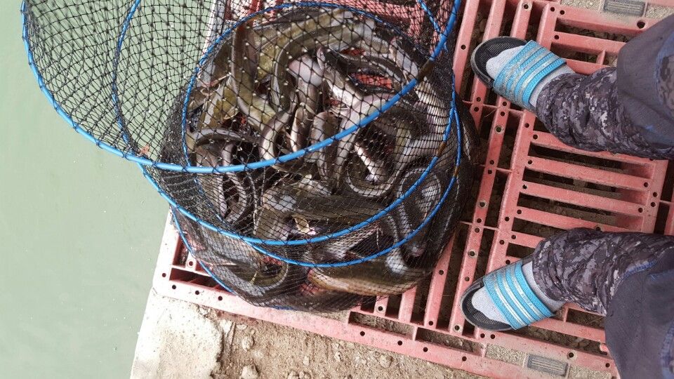KakaoTalk_20160501_194631854.jpg