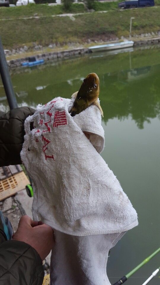 KakaoTalk_20160501_194635211.jpg