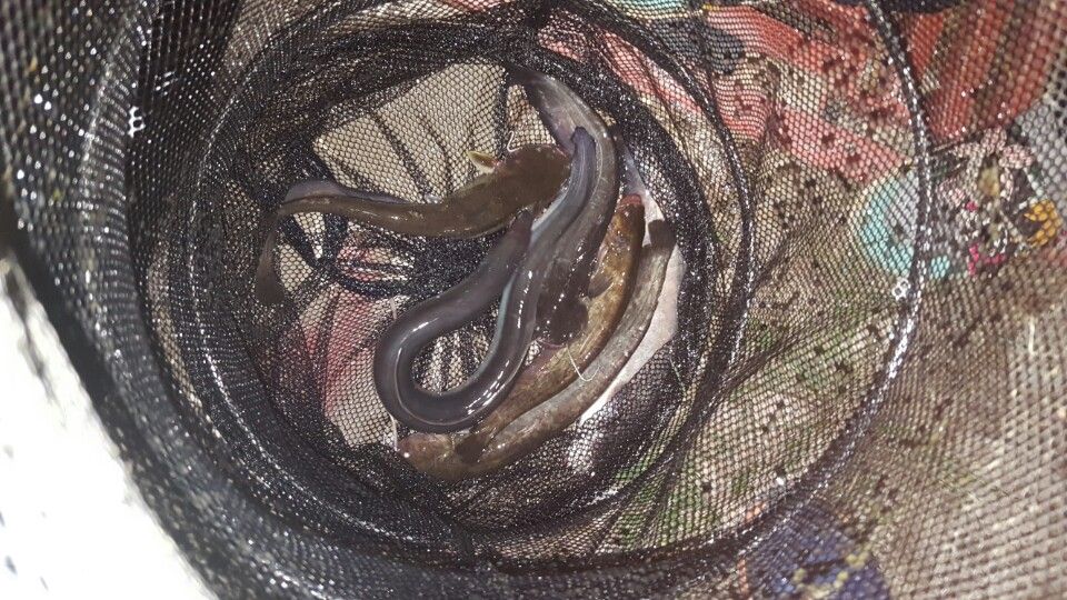 KakaoTalk_20160501_194636828.jpg