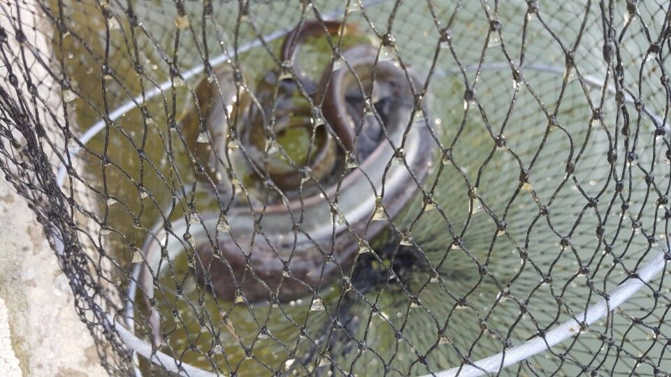 KakaoTalk_20160501_194636268.jpg