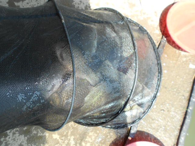 DSCN3041.JPG