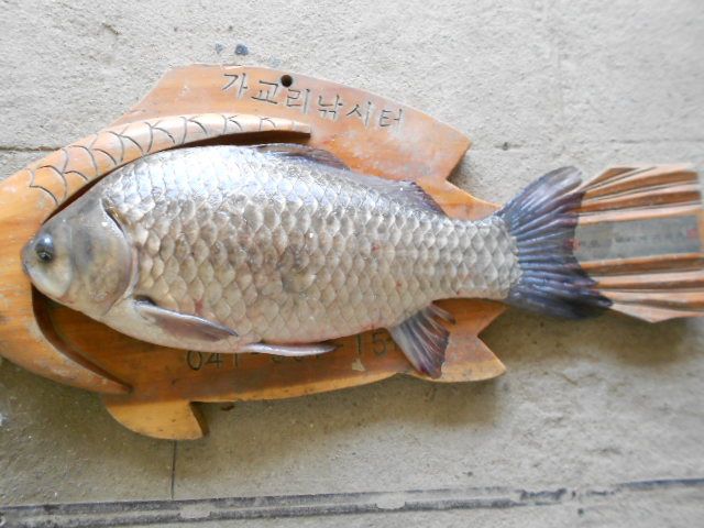 DSCN3047.JPG