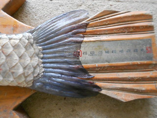DSCN3048.JPG