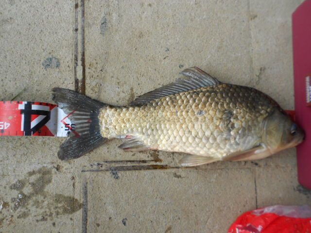 DSCN3054.JPG