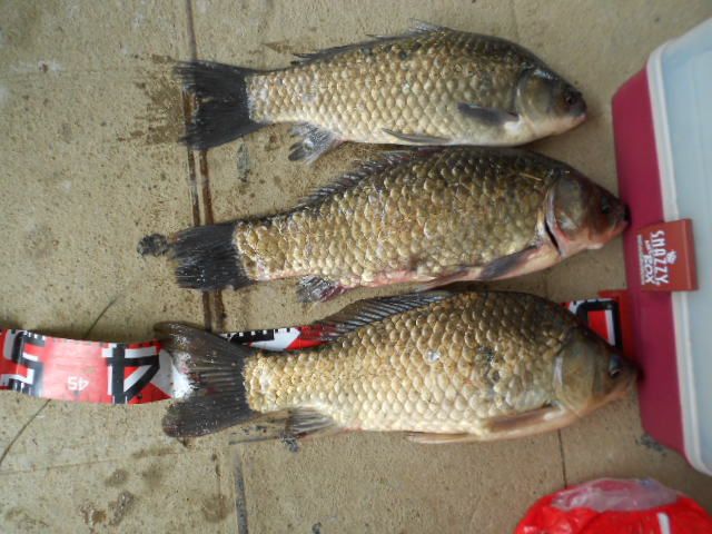 DSCN3056.JPG