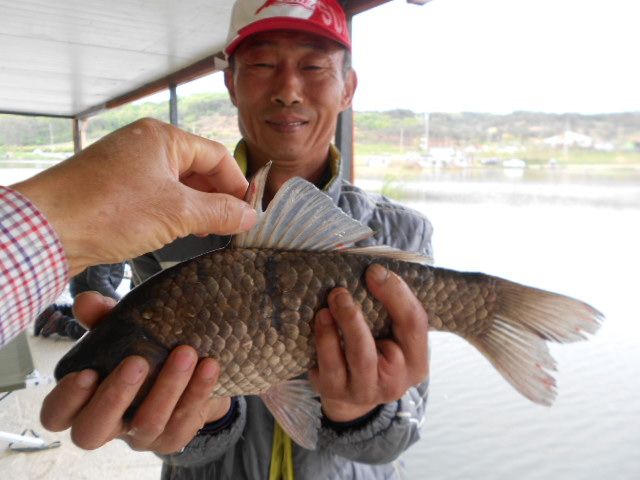 DSCN3074.JPG