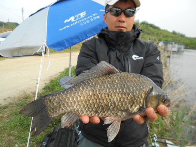 DSCN3083.JPG