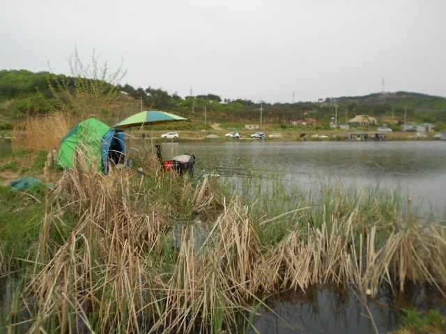 DSCN3082.JPG