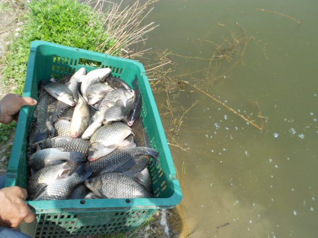 DSCN3033.JPG