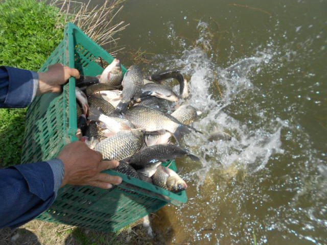DSCN3034.JPG