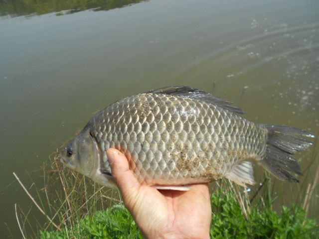 DSCN3038.JPG