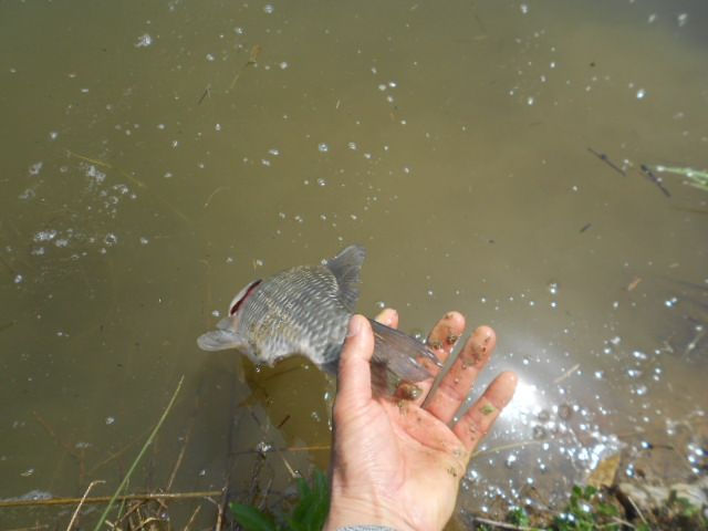 DSCN3039.JPG