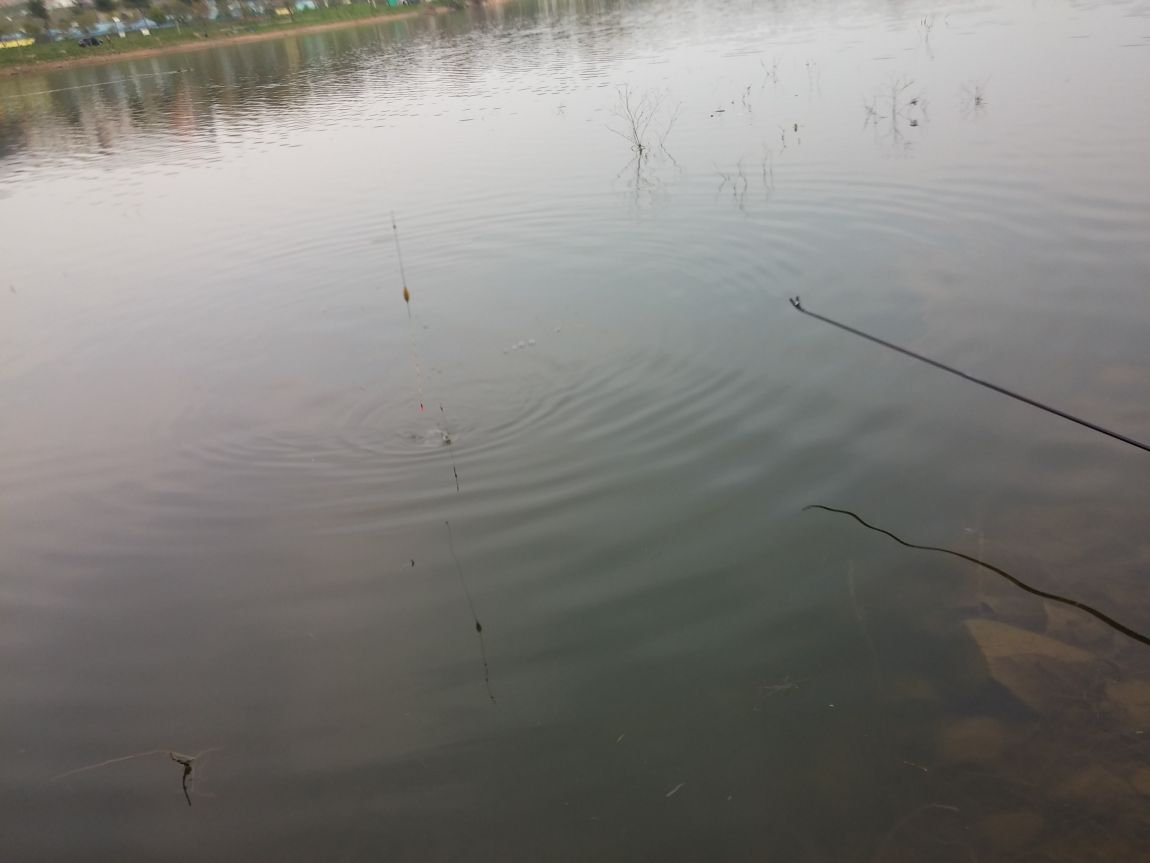 20160426_171825.jpg