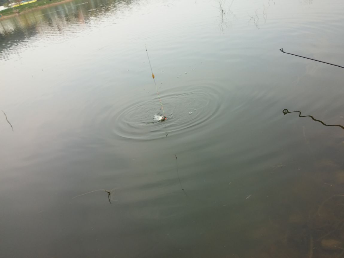20160426_171830.jpg