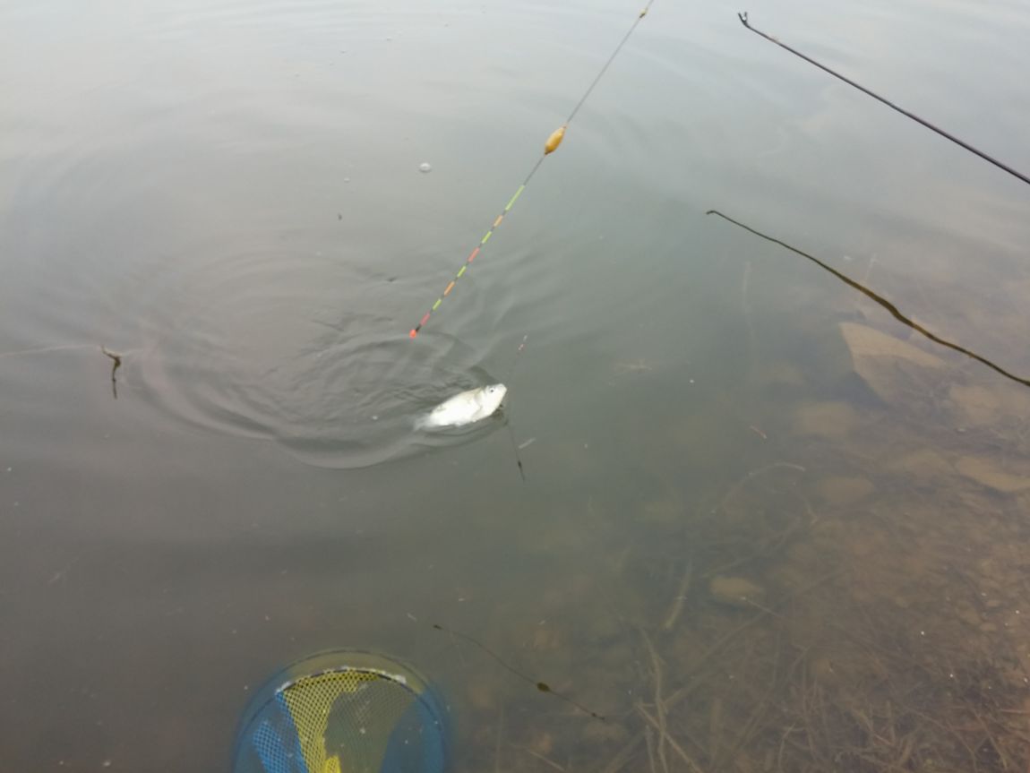 20160426_171834.jpg