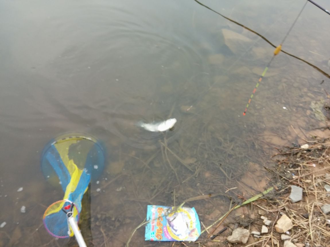 20160426_171836.jpg