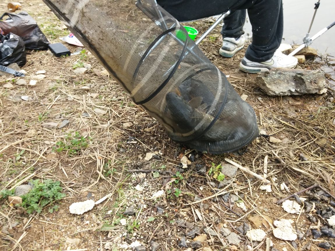 20160428_083053.jpg