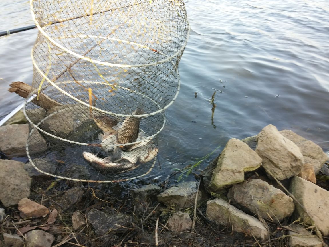 20160501_172636.jpg