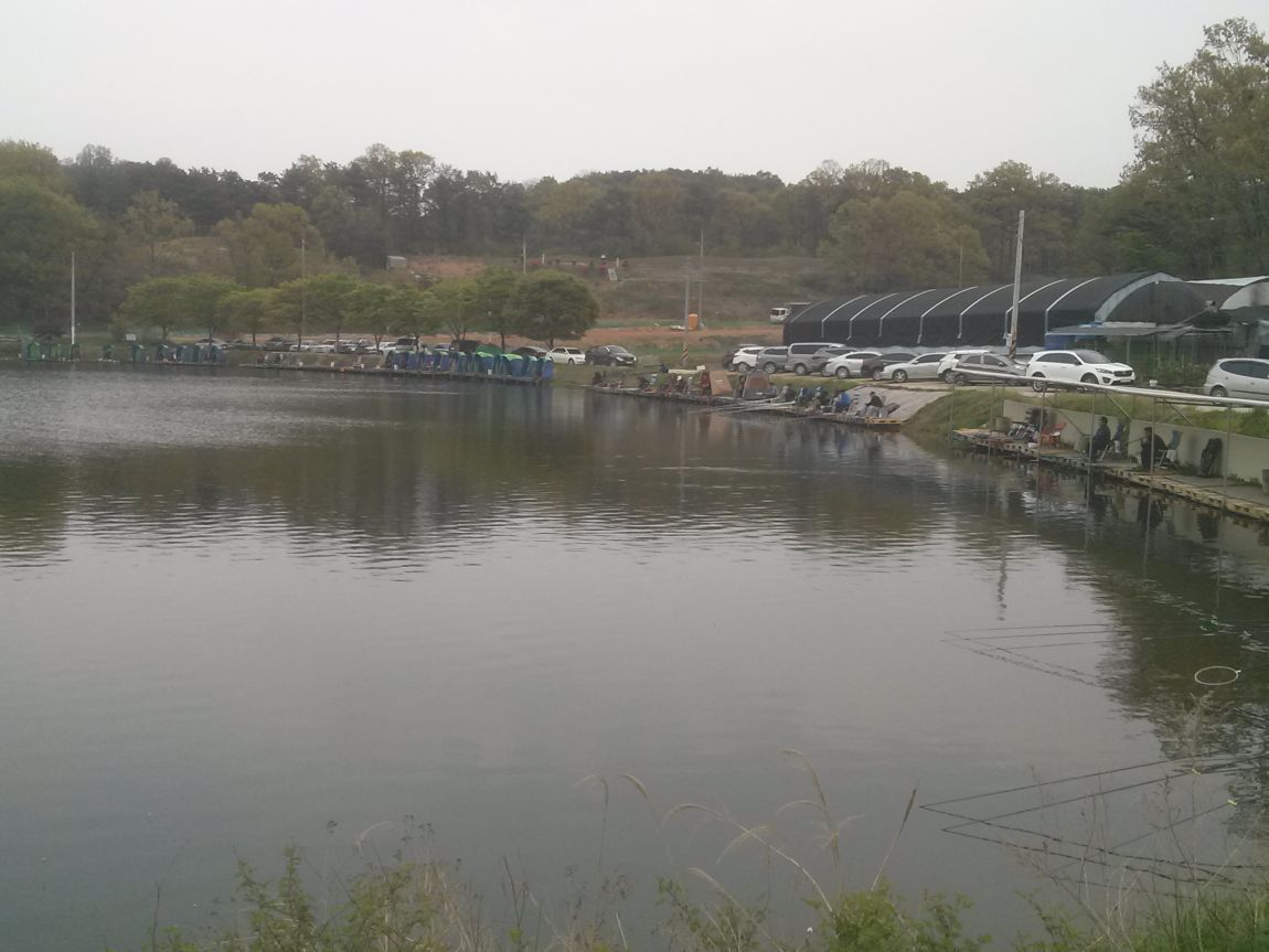 CAM09771.jpg
