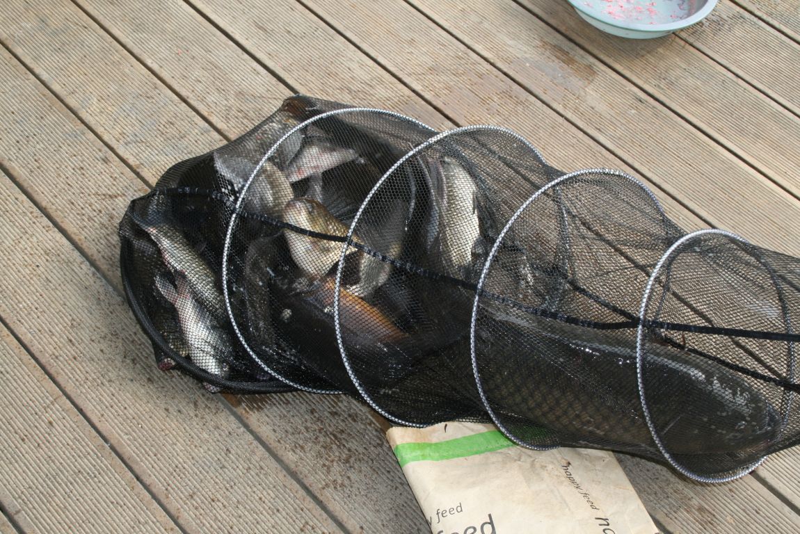 IMG_4459.JPG