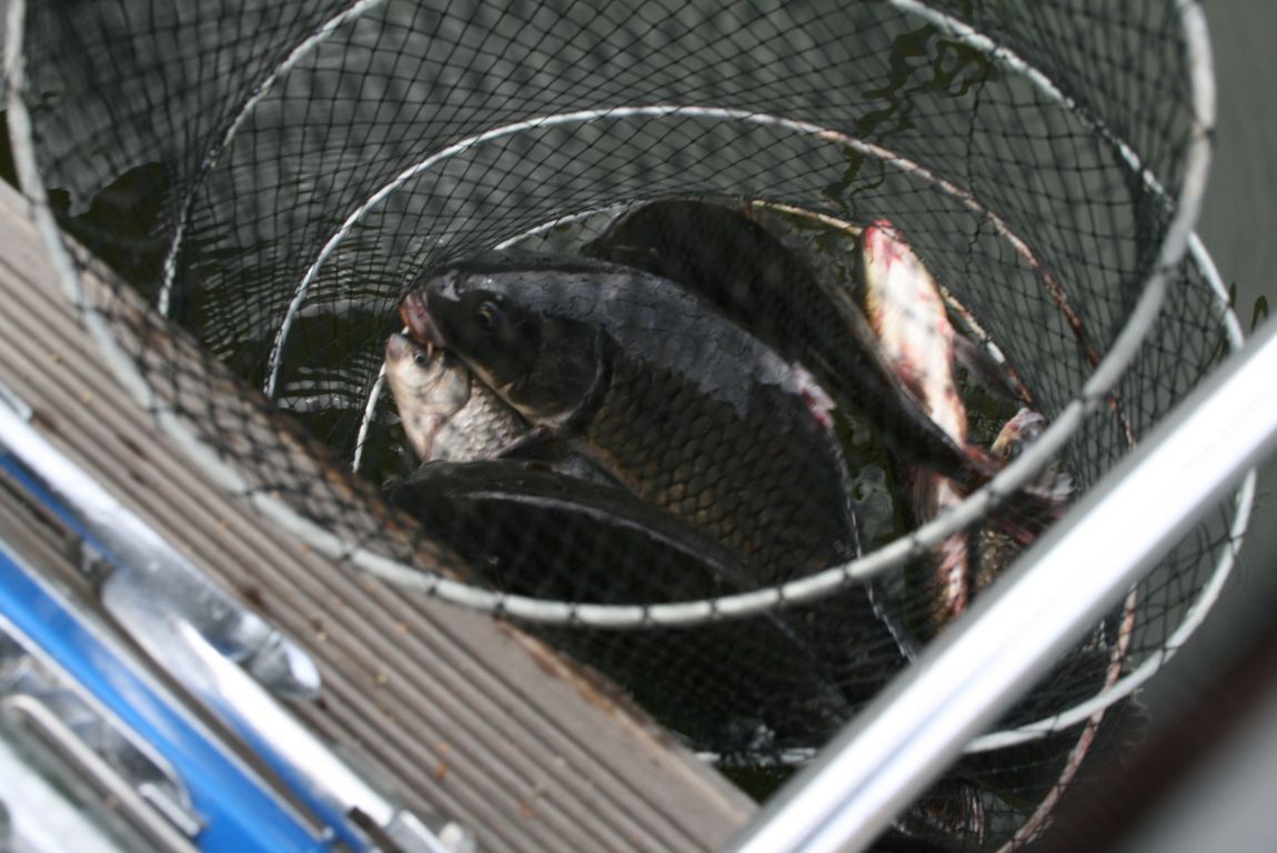 IMG_4465.JPG