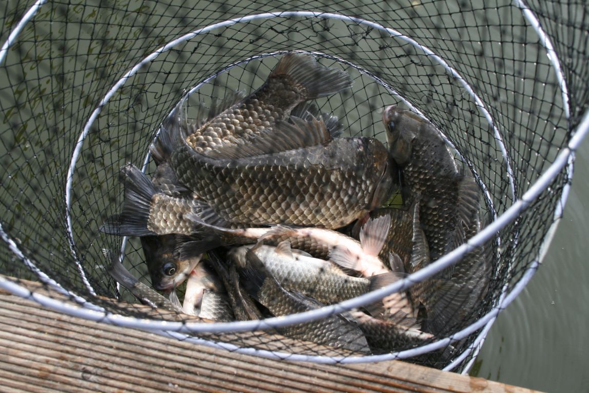 IMG_4472.JPG