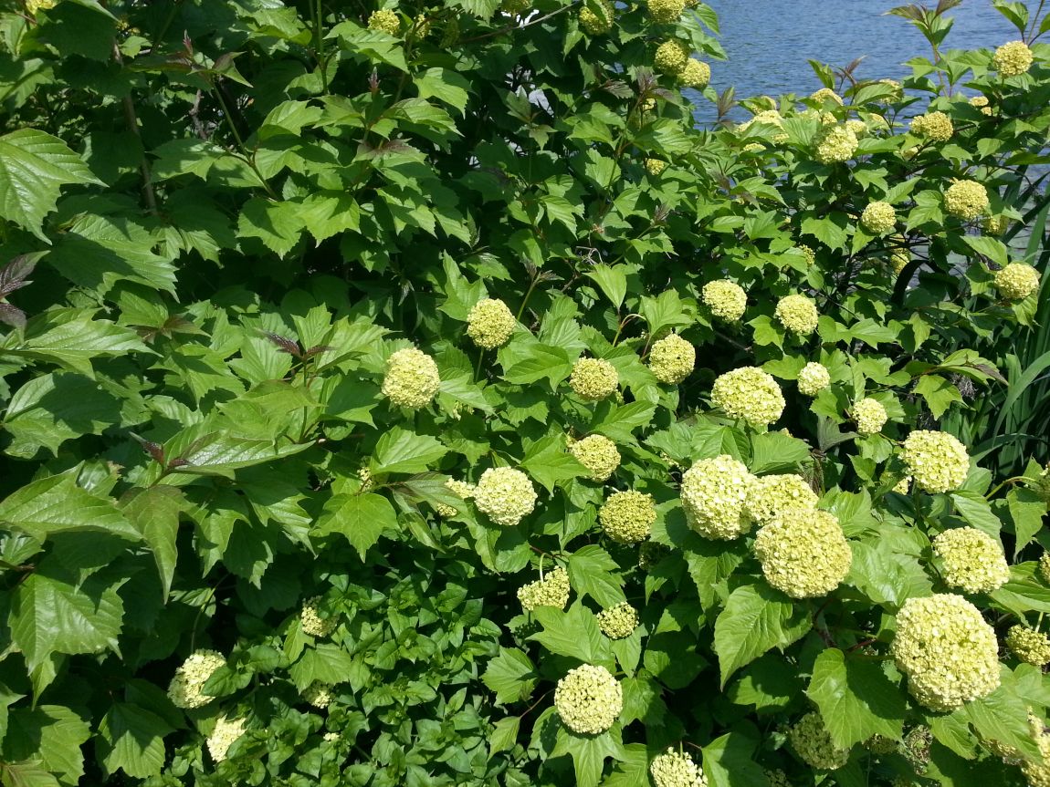 20160502_140336.jpg