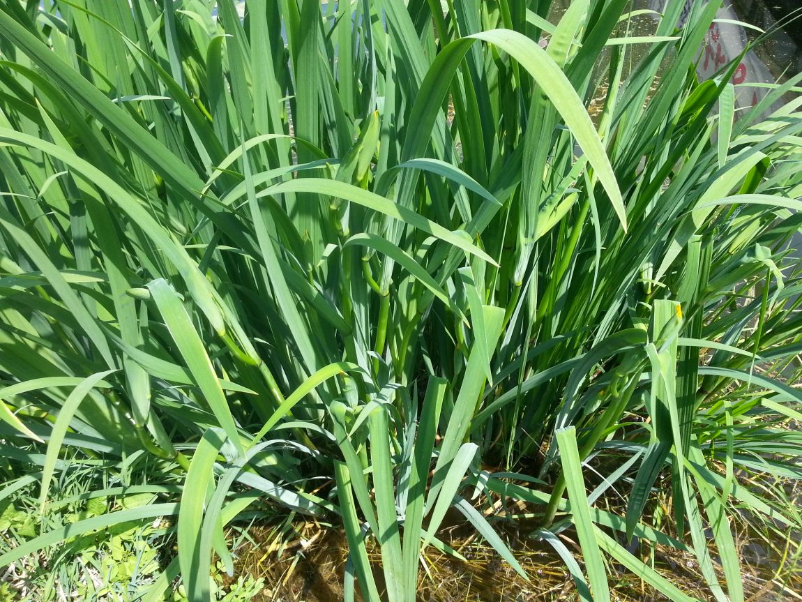 20160502_140436.jpg