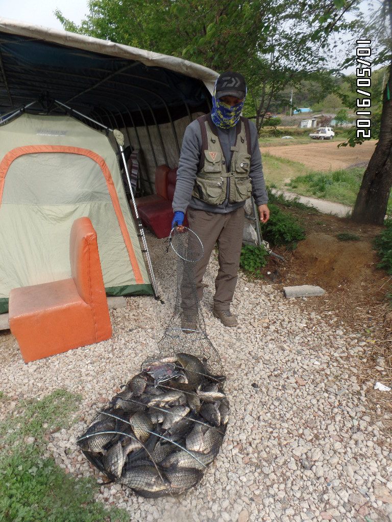 SAM_1663.JPG